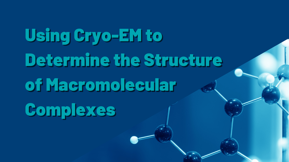 Using Cryo-EM to Determine the Structure of Macromolecular Complexes
